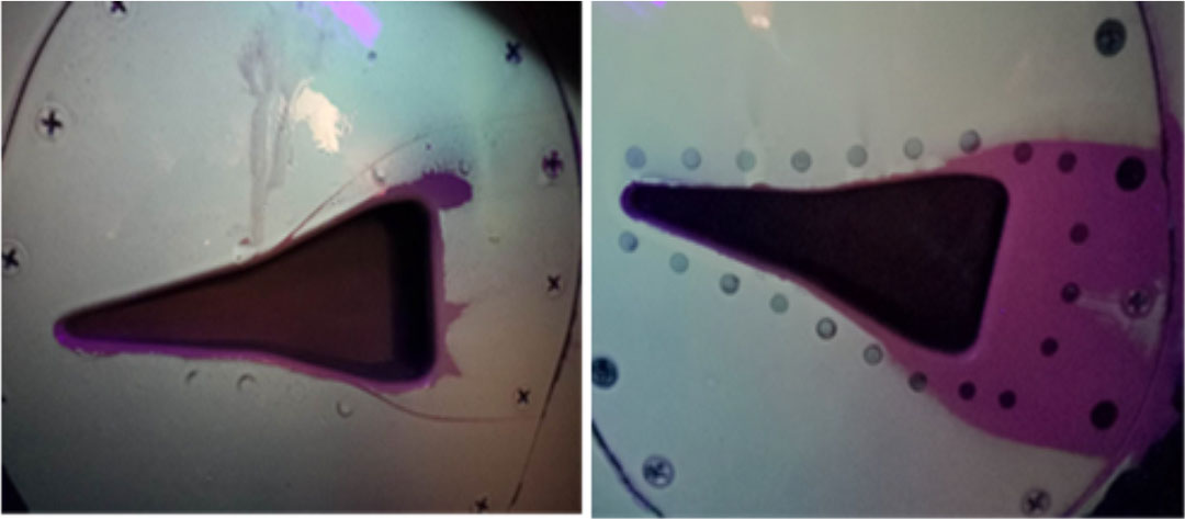 圖2 顯色涂層顯色情況（左翼、右翼）