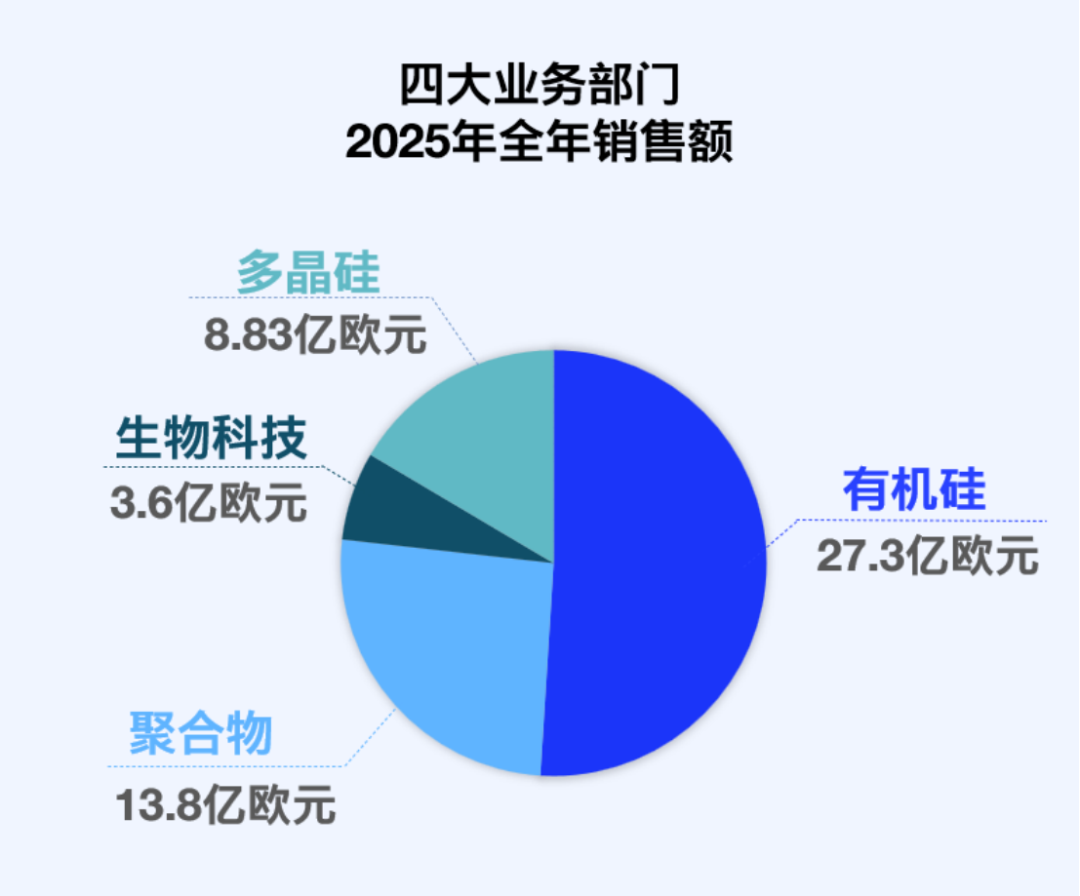 瓦克化學(xué)2025年度報告-2026展望397